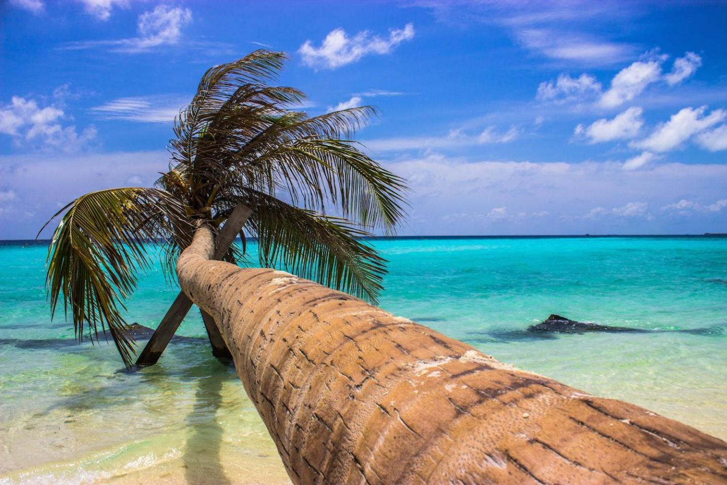 Ci-Ritorno View Hotel Maafushi Exterior foto